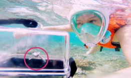 好多水视频,好多水视频深度解析