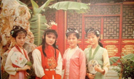 怡红院在线视频,揭秘古代名妓院的繁华生活